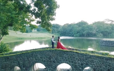 H A R O L D  x  S H I E L L A  |  save the date