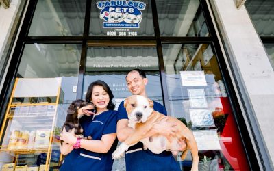 “The dog lives for the day, the hour, even the moment.”
 The engagement Session …